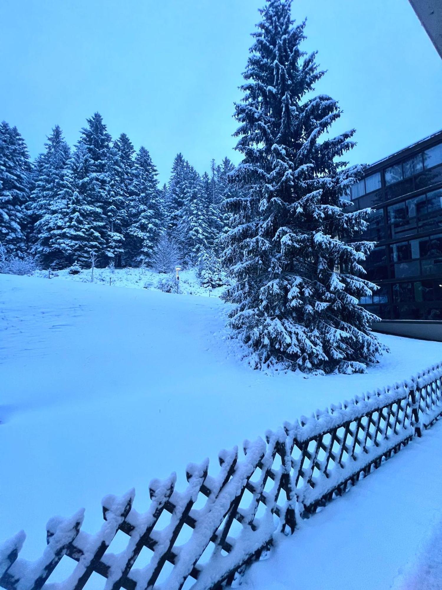 Apartamento Ma Montagne Chic 4 La Bresse Exterior foto
